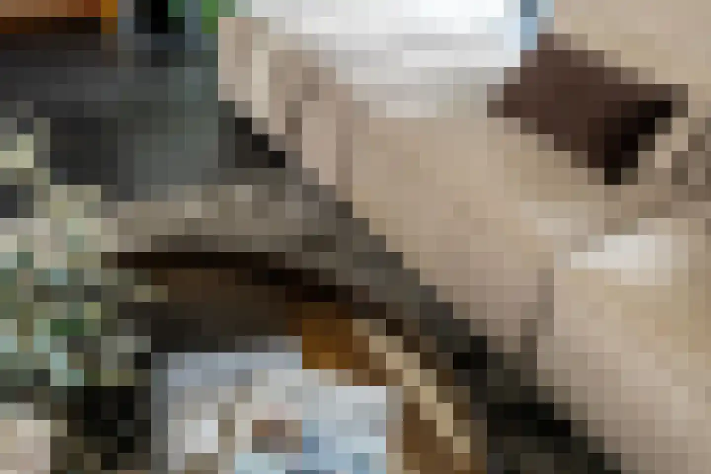 Dirk Haan Erf 9 Warder thumbnail 25
