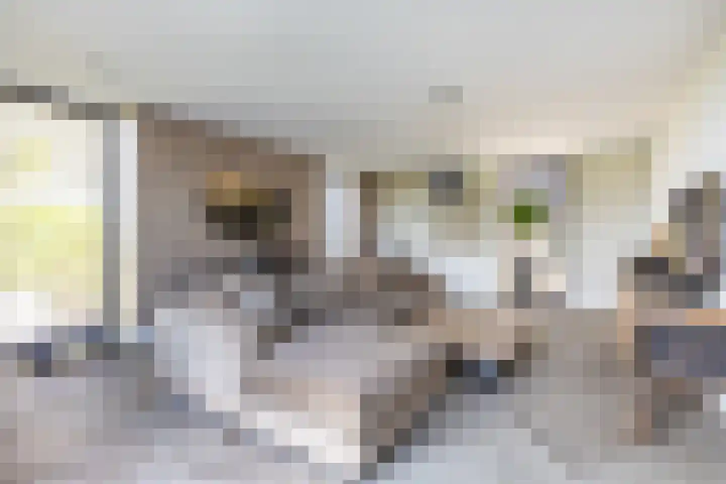 Dirk Haan Erf 9 Warder thumbnail 27