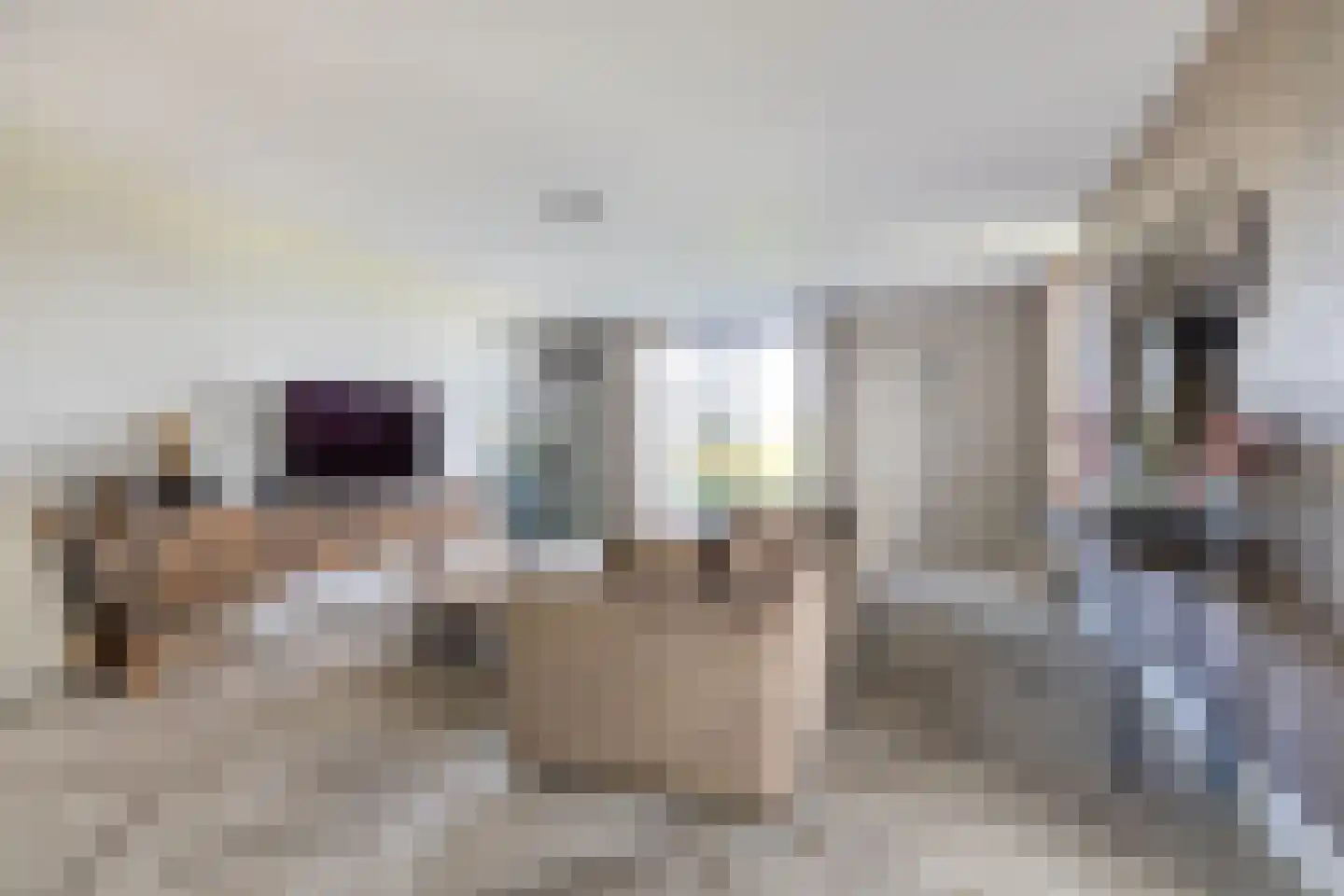 Dirk Haan Erf 9 Warder thumbnail 28