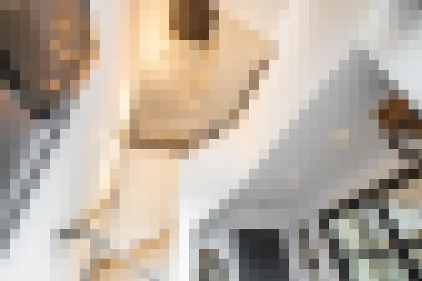 Dirk Haan Erf 9 Warder thumbnail 33