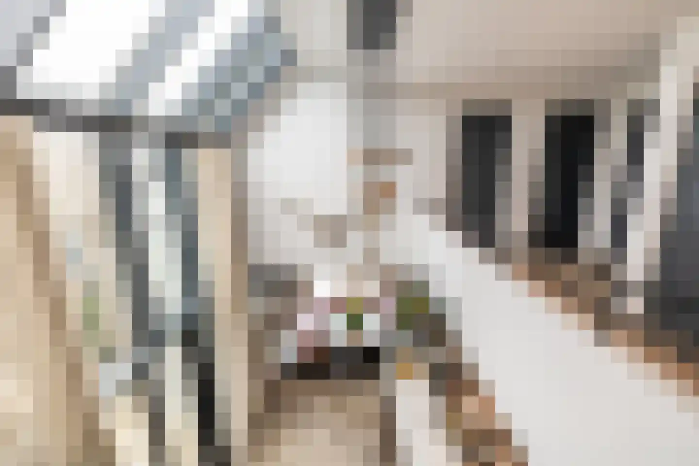 Dirk Haan Erf 9 Warder thumbnail 35