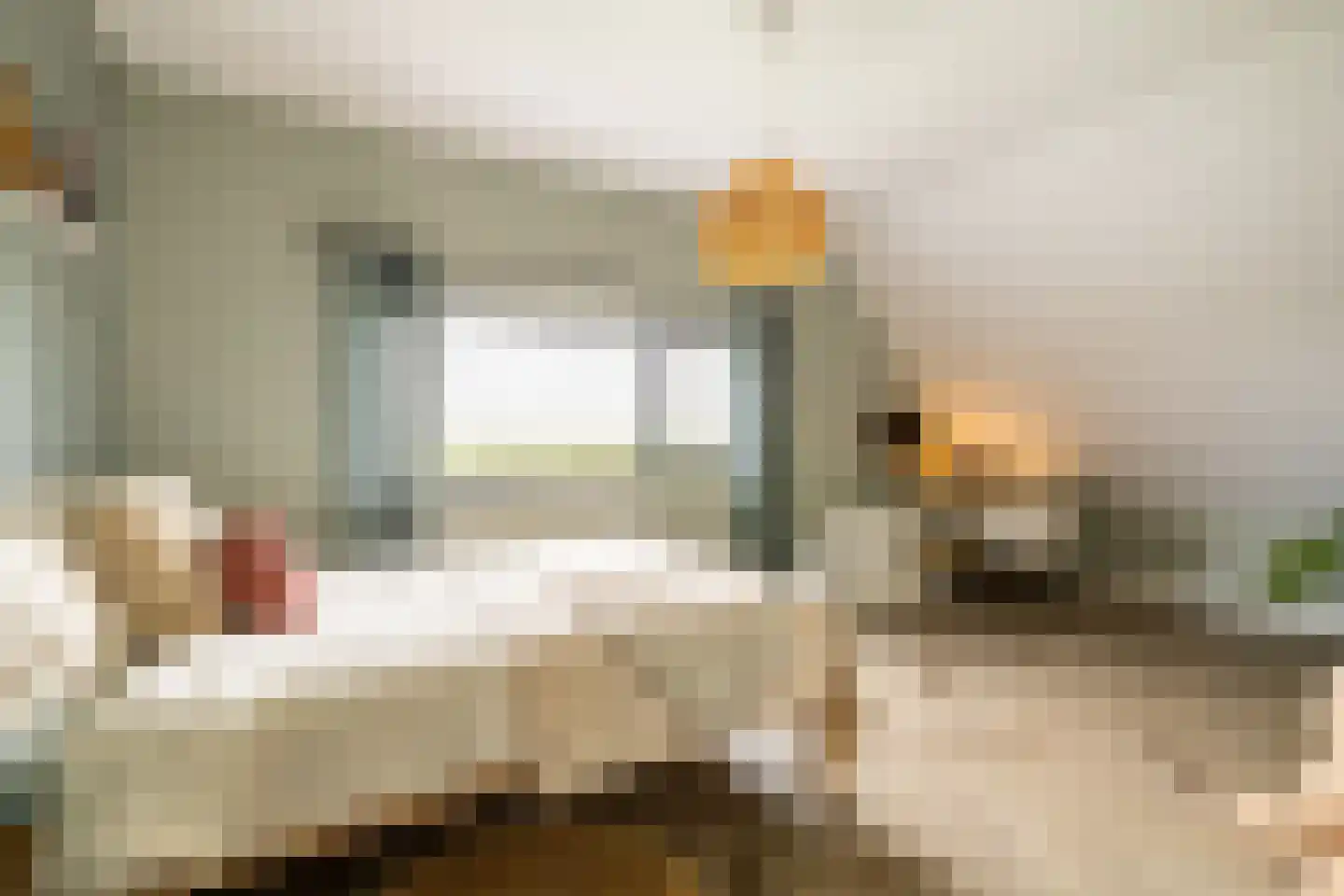 Dirk Haan Erf 9 Warder thumbnail 36