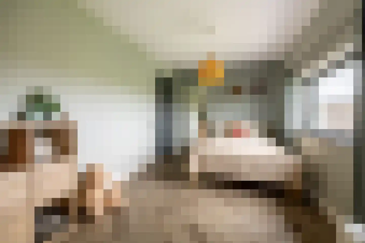 Dirk Haan Erf 9 Warder thumbnail 37