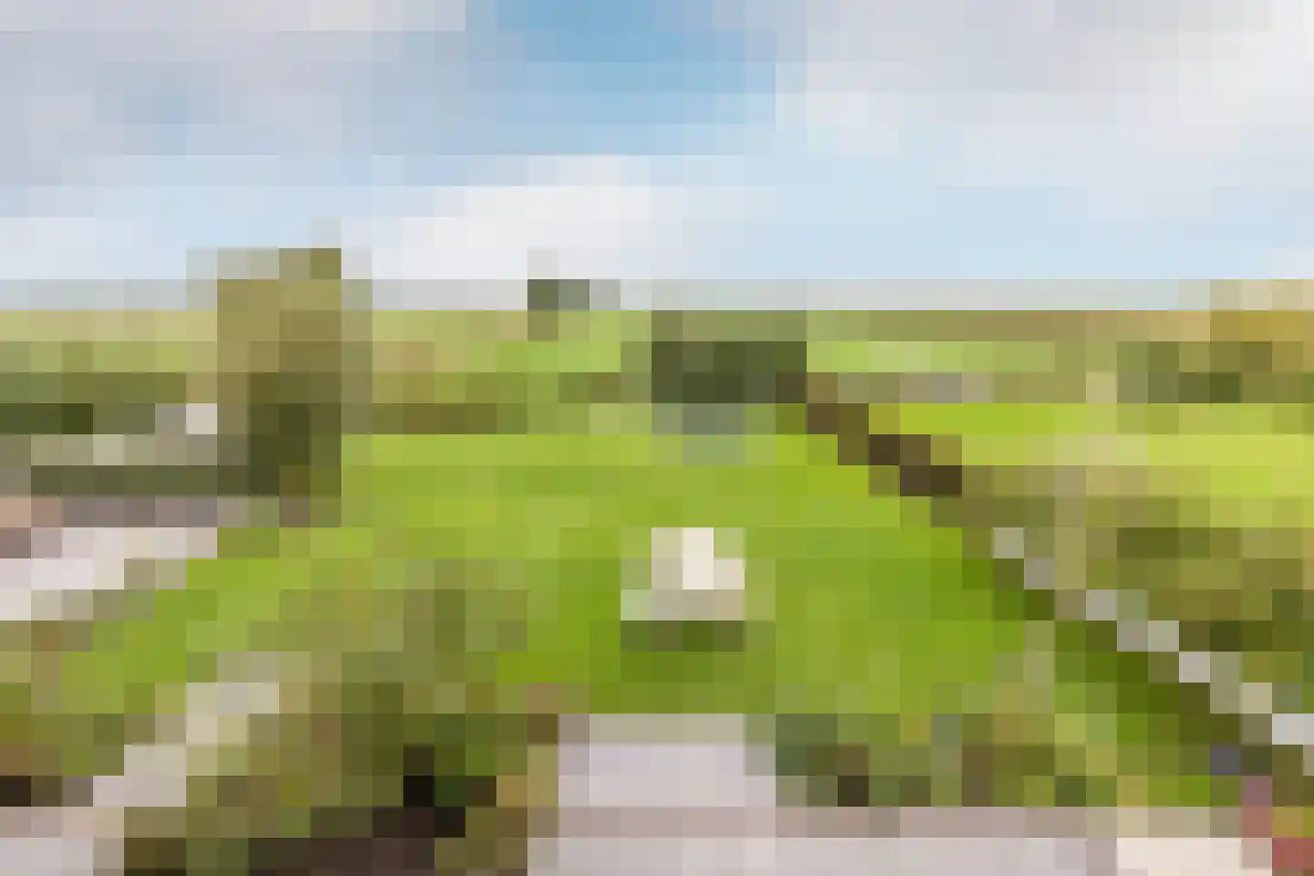 Dirk Haan Erf 9 Warder thumbnail 38