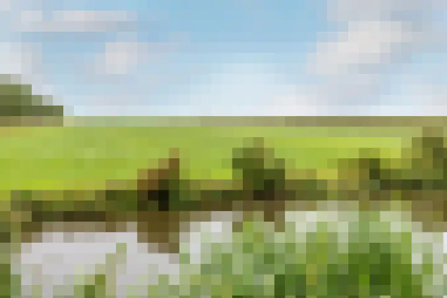 Dirk Haan Erf 9 Warder thumbnail 4