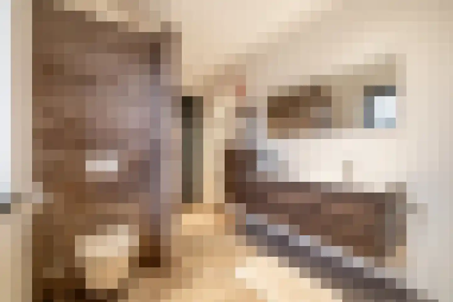 Dirk Haan Erf 9 Warder thumbnail 44