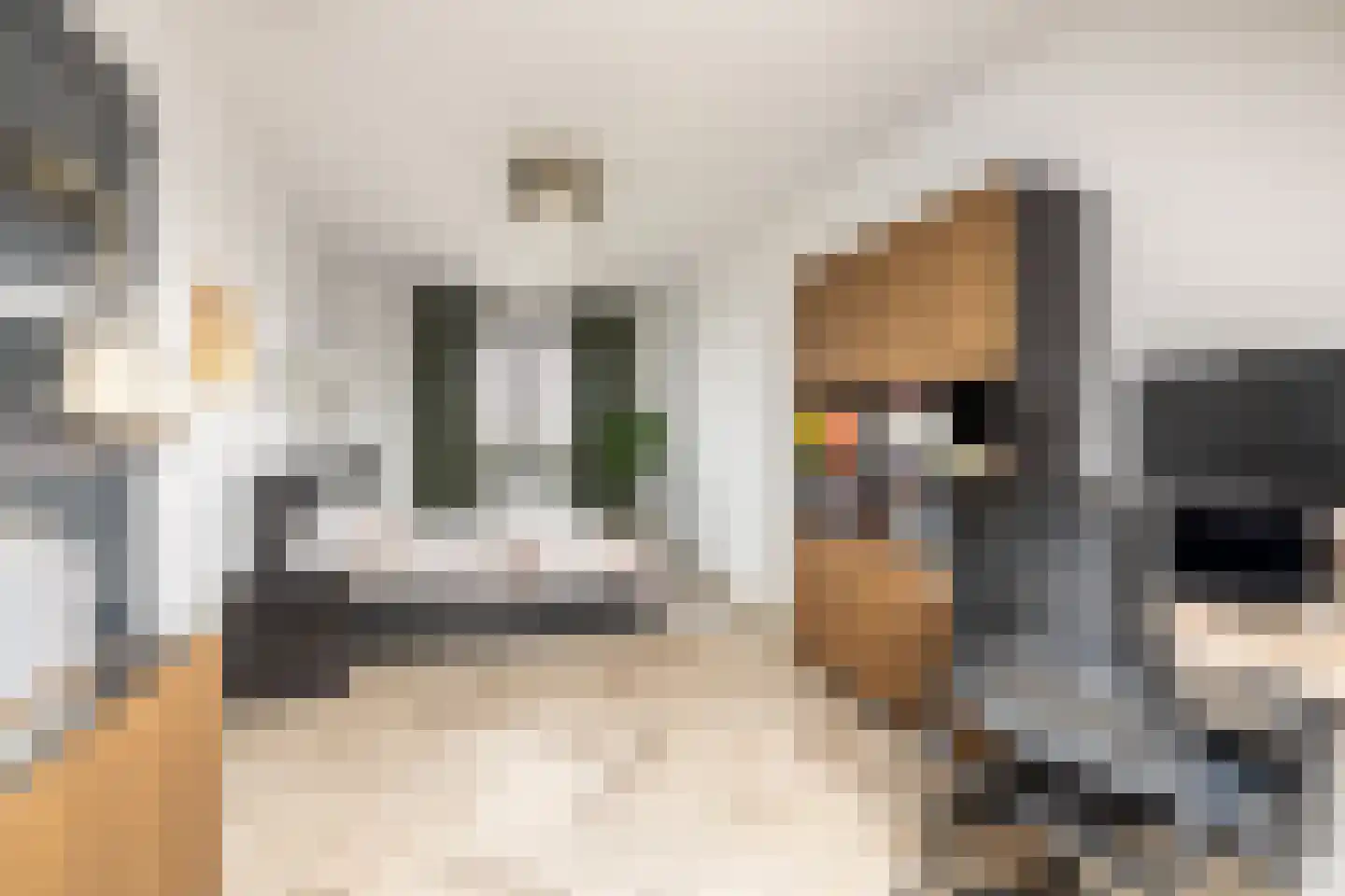Dirk Haan Erf 9 Warder thumbnail 46