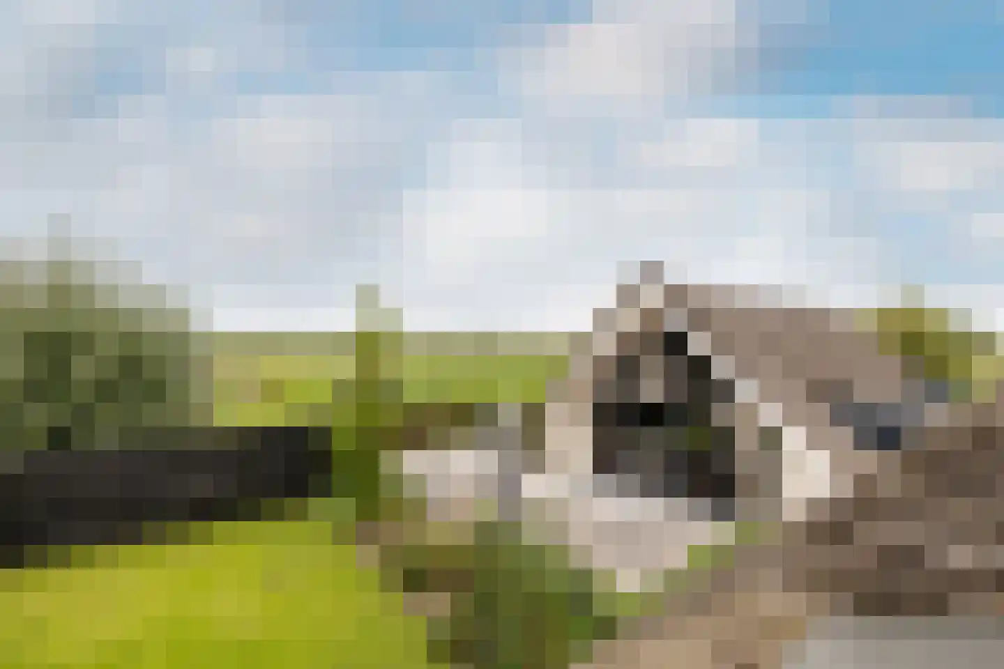 Dirk Haan Erf 9 Warder thumbnail 48