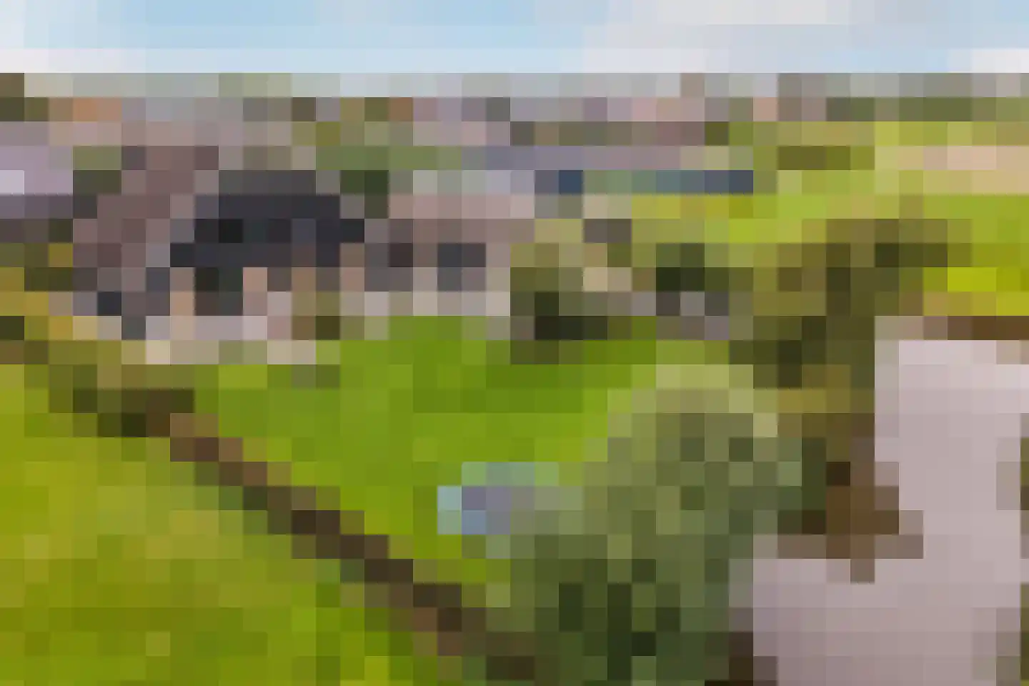Dirk Haan Erf 9 Warder thumbnail 5
