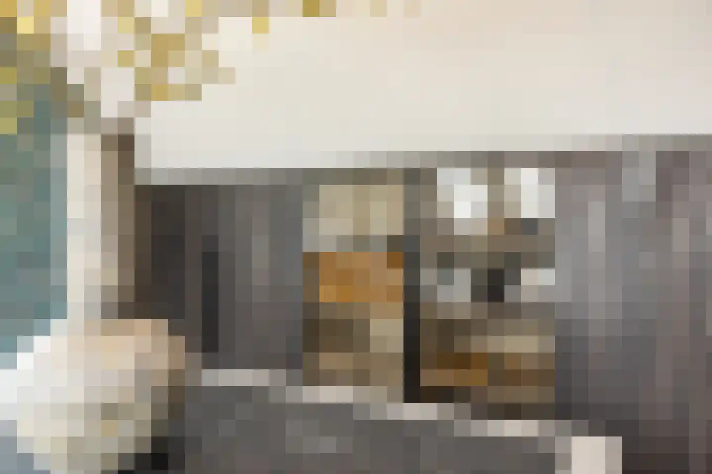 Dirk Haan Erf 9 Warder thumbnail 55