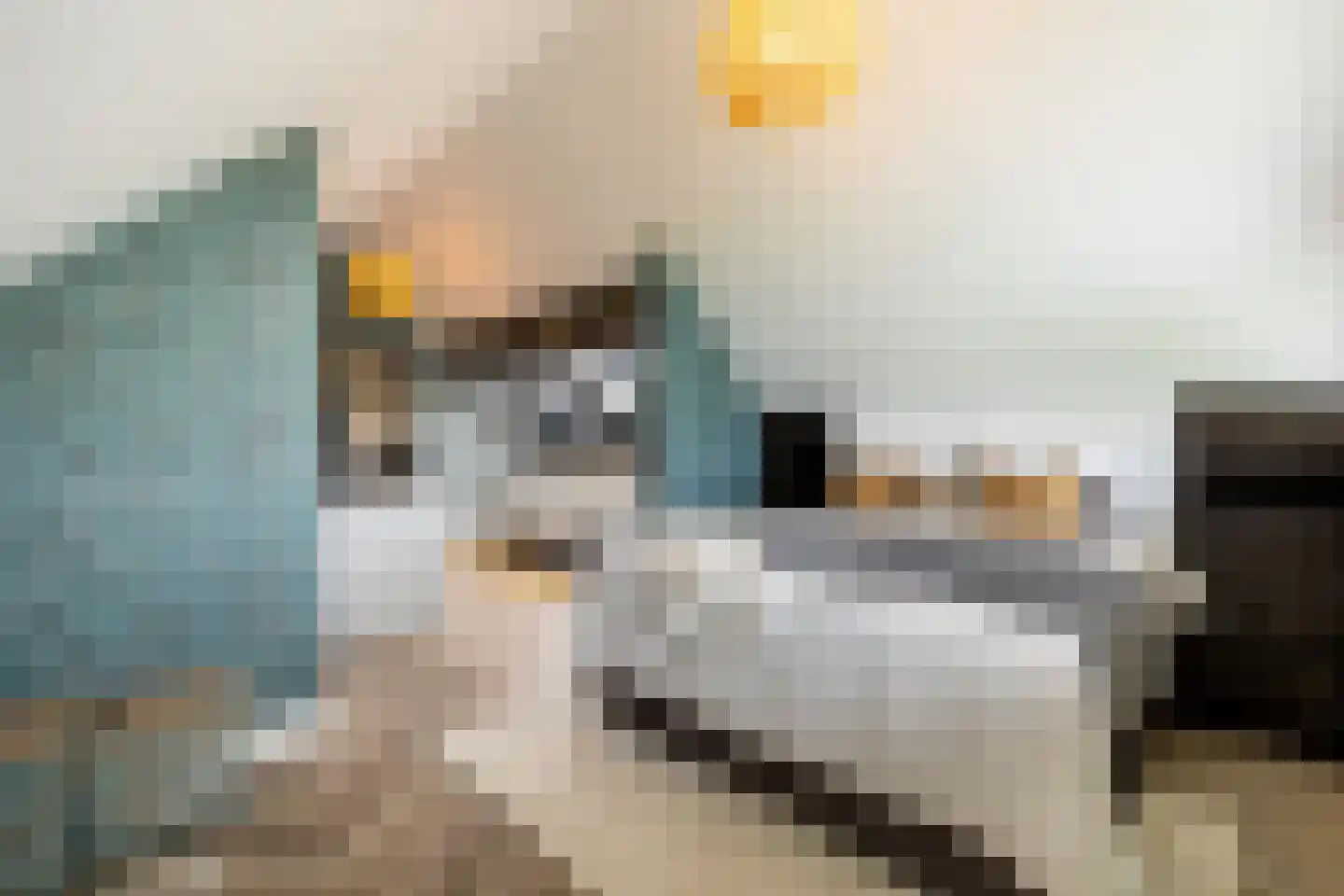 Dirk Haan Erf 9 Warder thumbnail 58