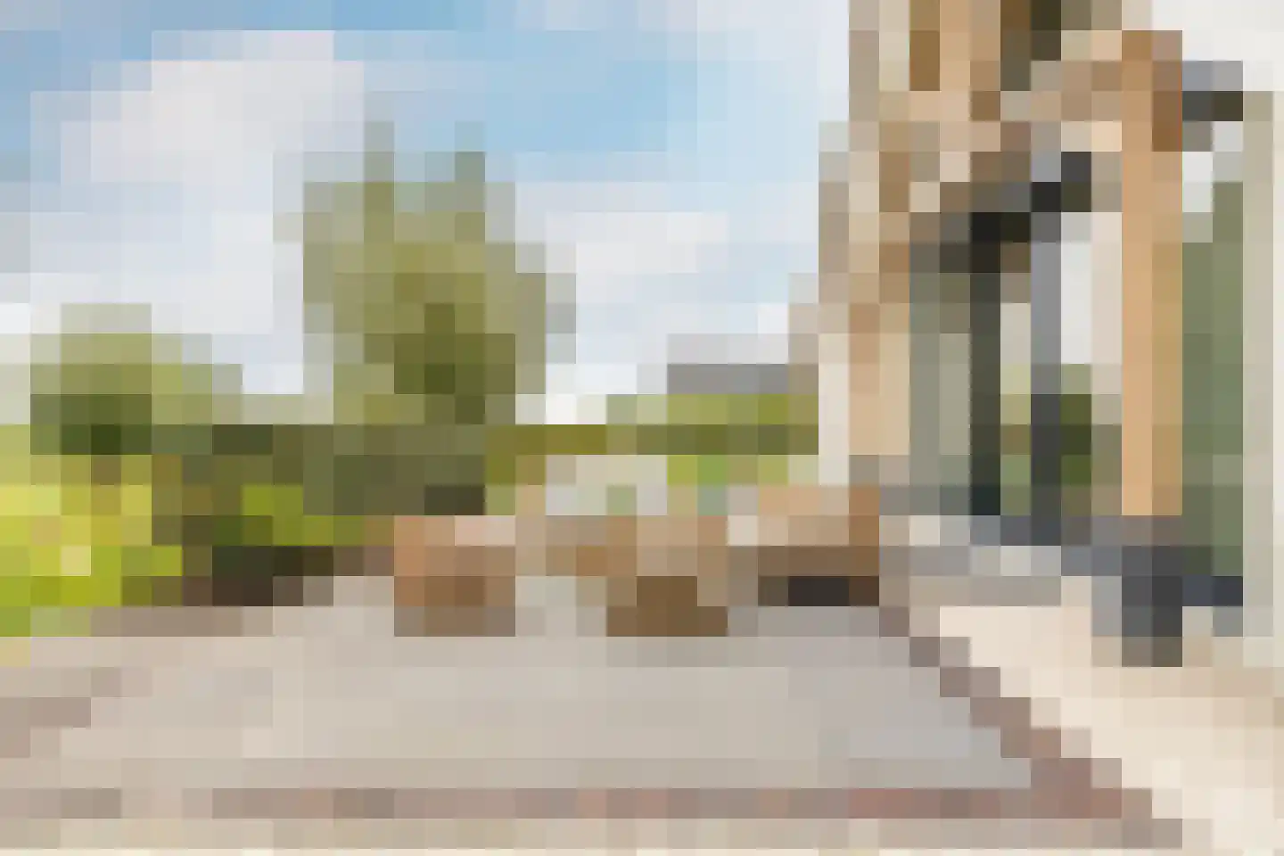 Dirk Haan Erf 9 Warder thumbnail 61