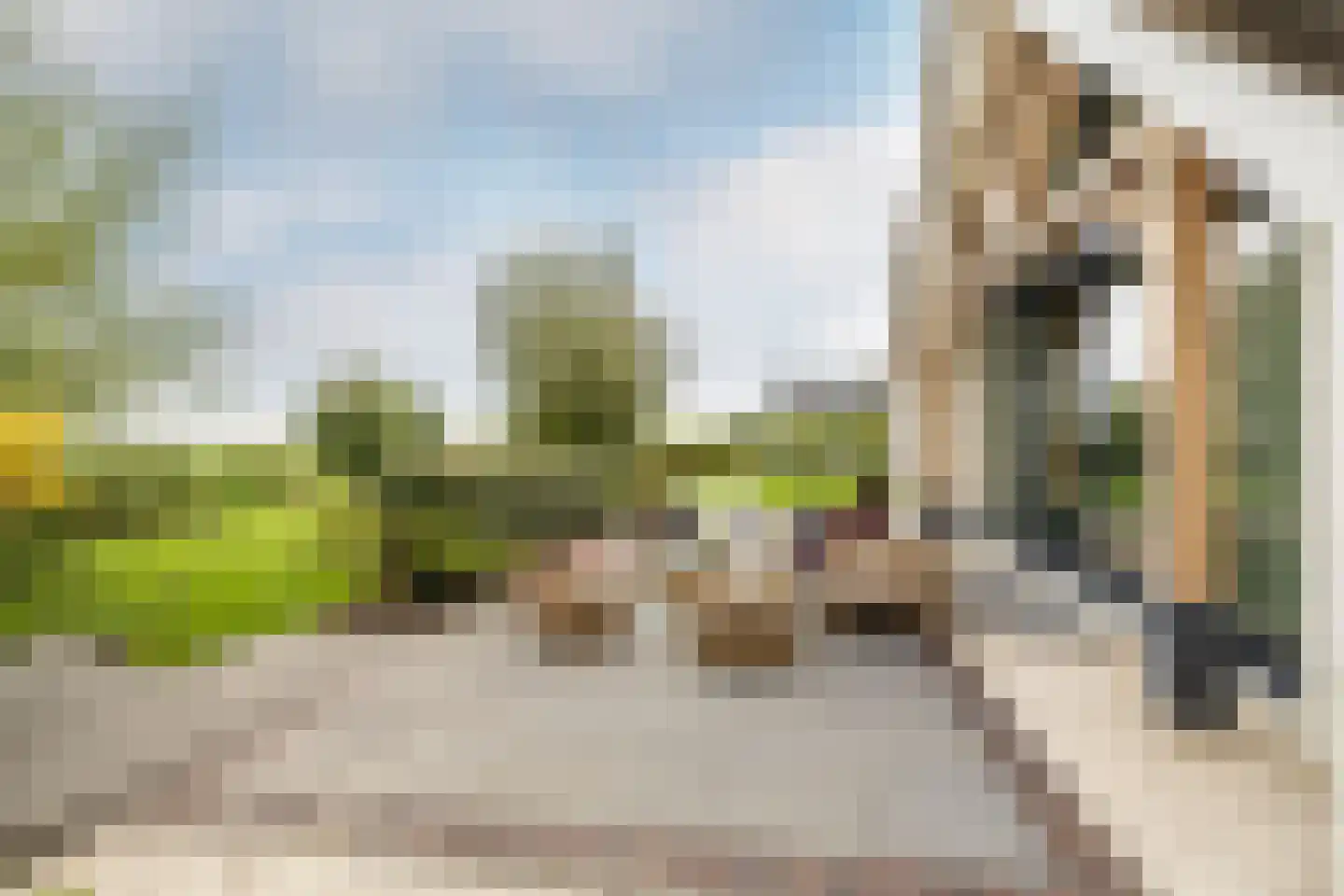 Dirk Haan Erf 9 Warder thumbnail 62
