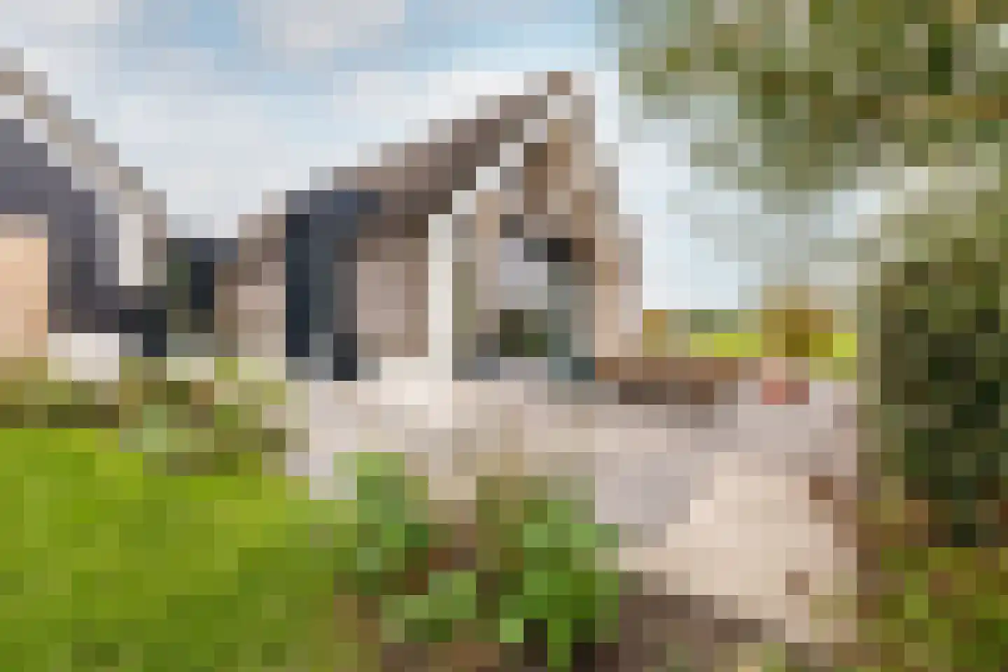 Dirk Haan Erf 9 Warder thumbnail 63