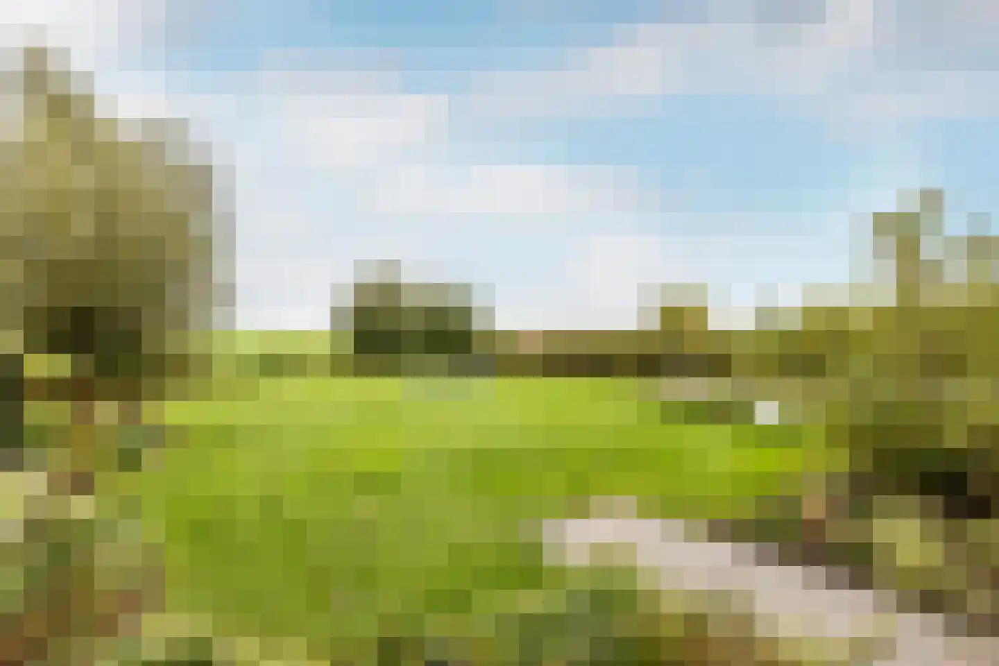 Dirk Haan Erf 9 Warder thumbnail 70