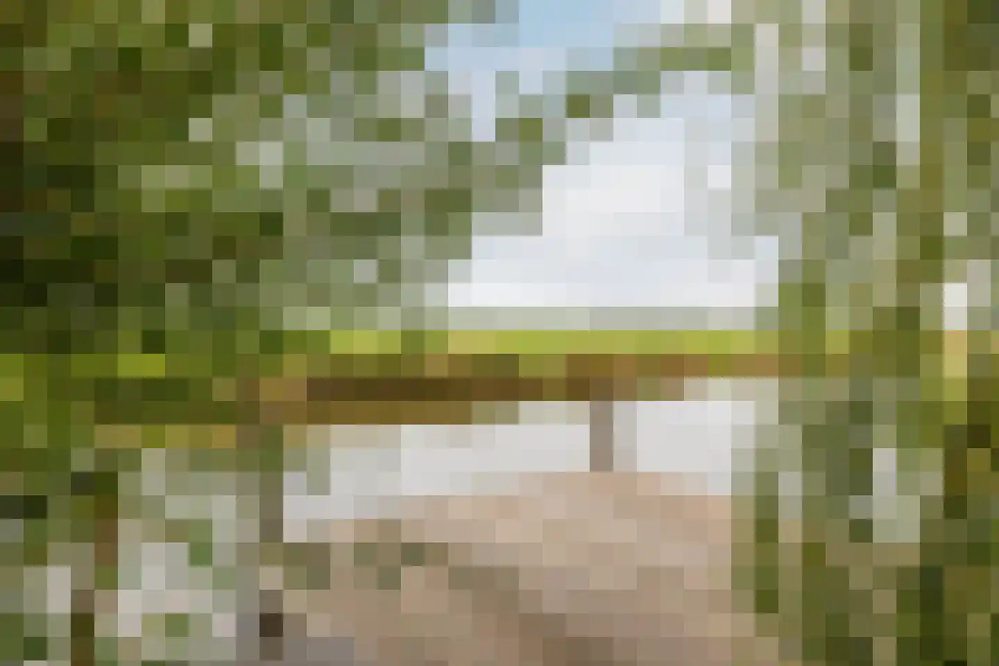 Dirk Haan Erf 9 Warder thumbnail 71
