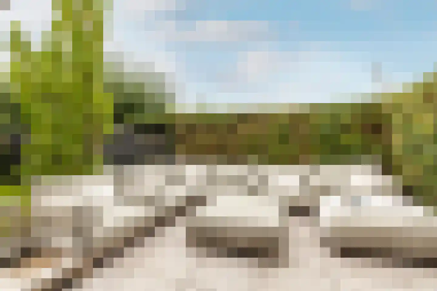 Dirk Haan Erf 9 Warder thumbnail 76