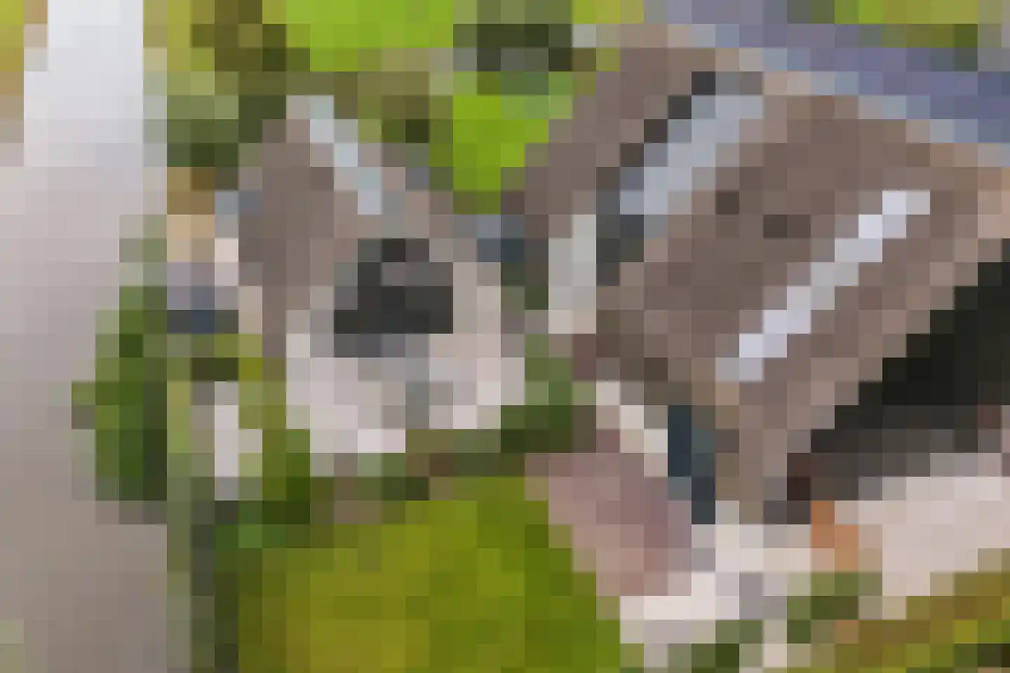 Dirk Haan Erf 9 Warder thumbnail 83