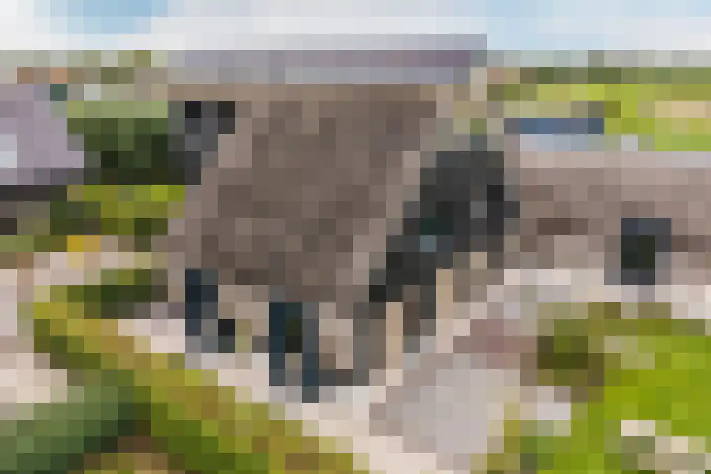 Dirk Haan Erf 9 Warder thumbnail 86