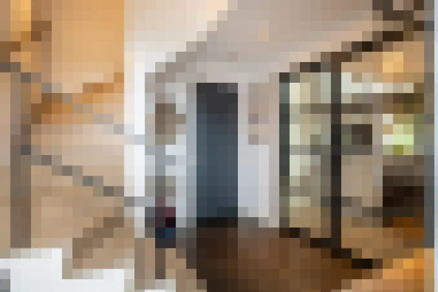 Dirk Haan Erf 9 Warder thumbnail 9