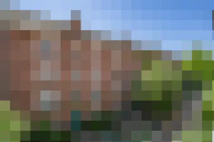 Dirk Hartoghstraat 18 B Amsterdam thumbnail 13