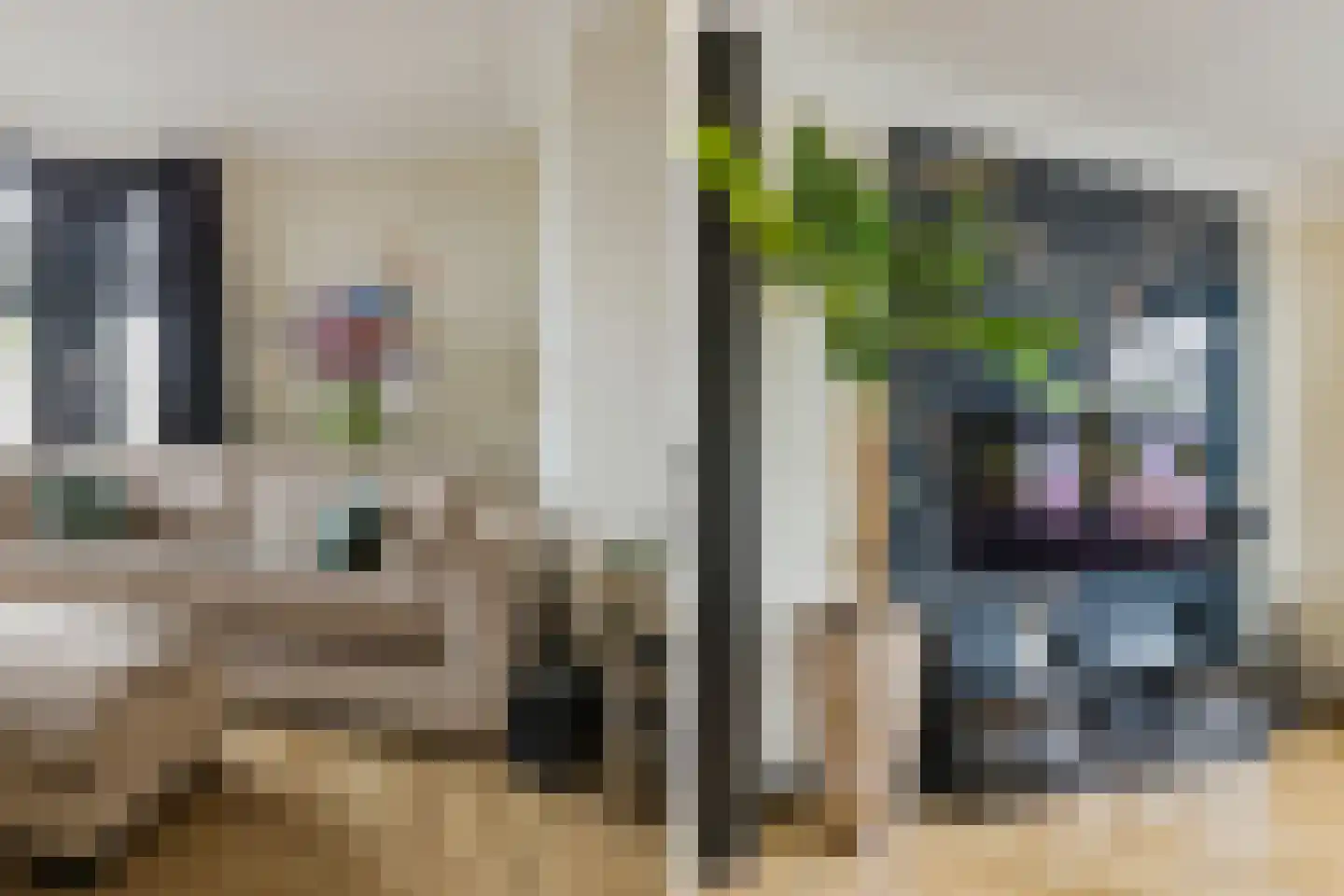 Dirk Hartoghstraat 2 IJmuiden thumbnail 13