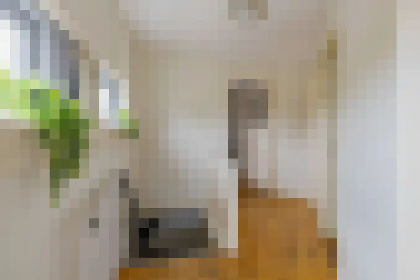 Dirk Hartoghstraat 2 IJmuiden thumbnail 18