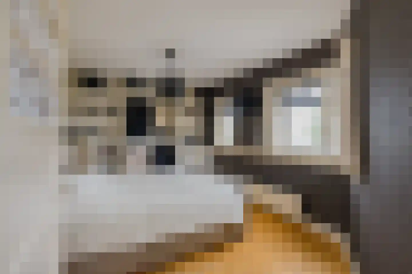 Dirk Hartoghstraat 2 IJmuiden thumbnail 21