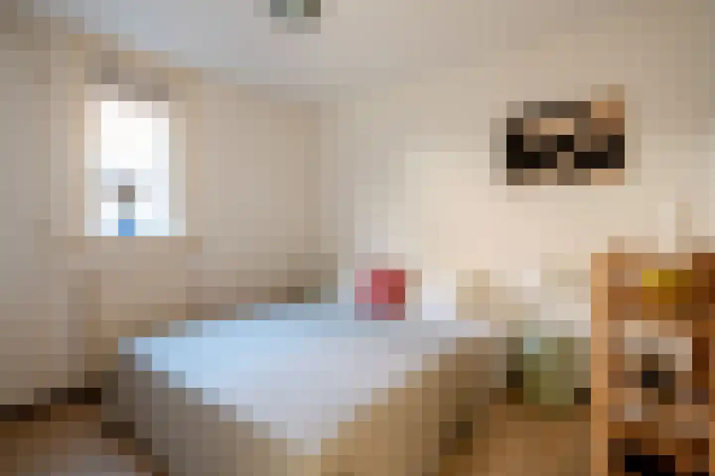 Dirk Hartoghstraat 28 Amsterdam thumbnail 11