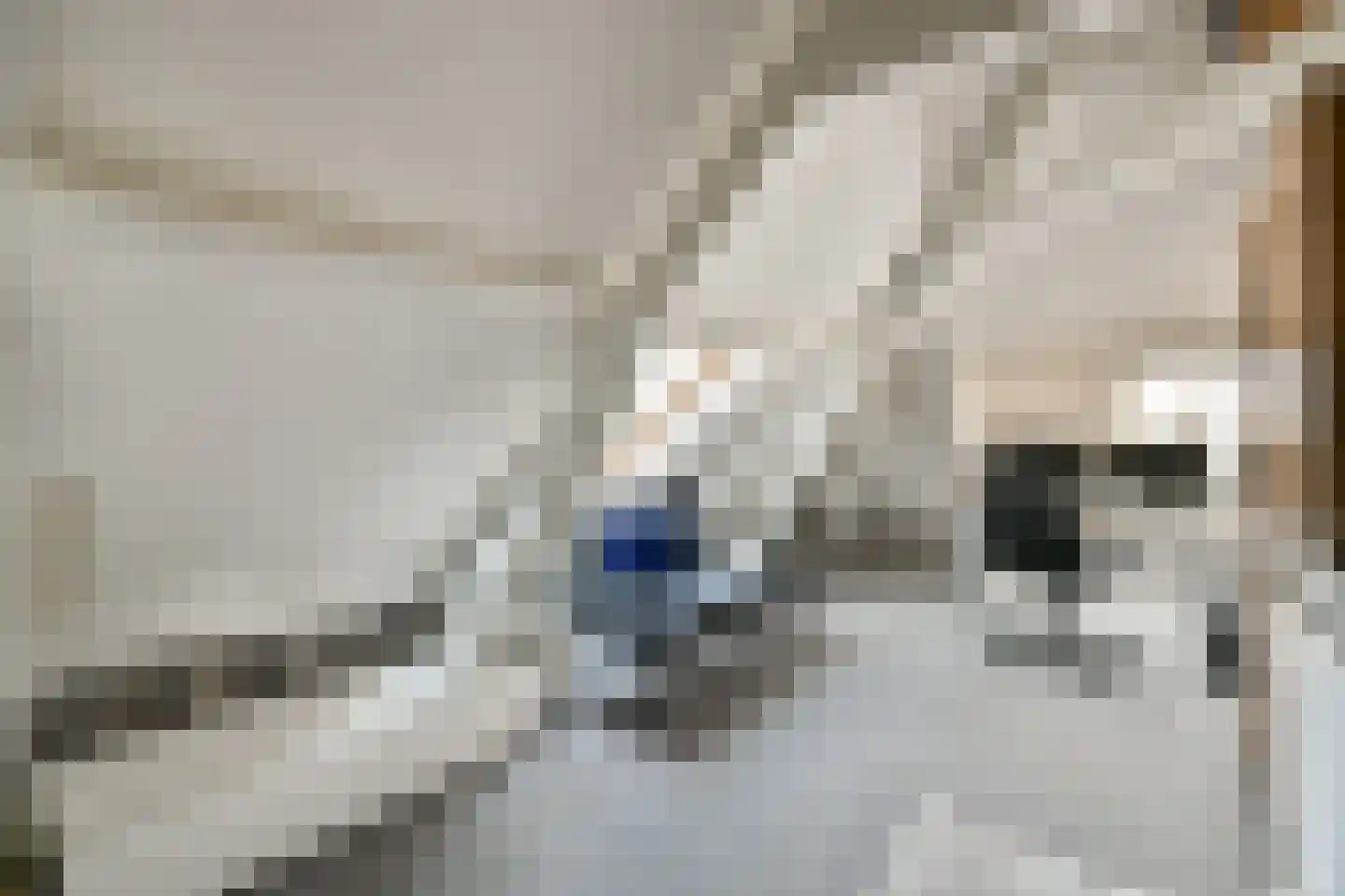 Dirk Hartoghstraat 5 Amsterdam thumbnail 11