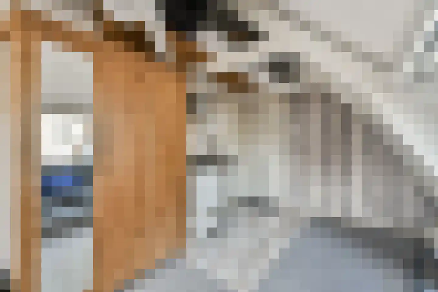 Dirk Hartoghstraat 5 Amsterdam thumbnail 12
