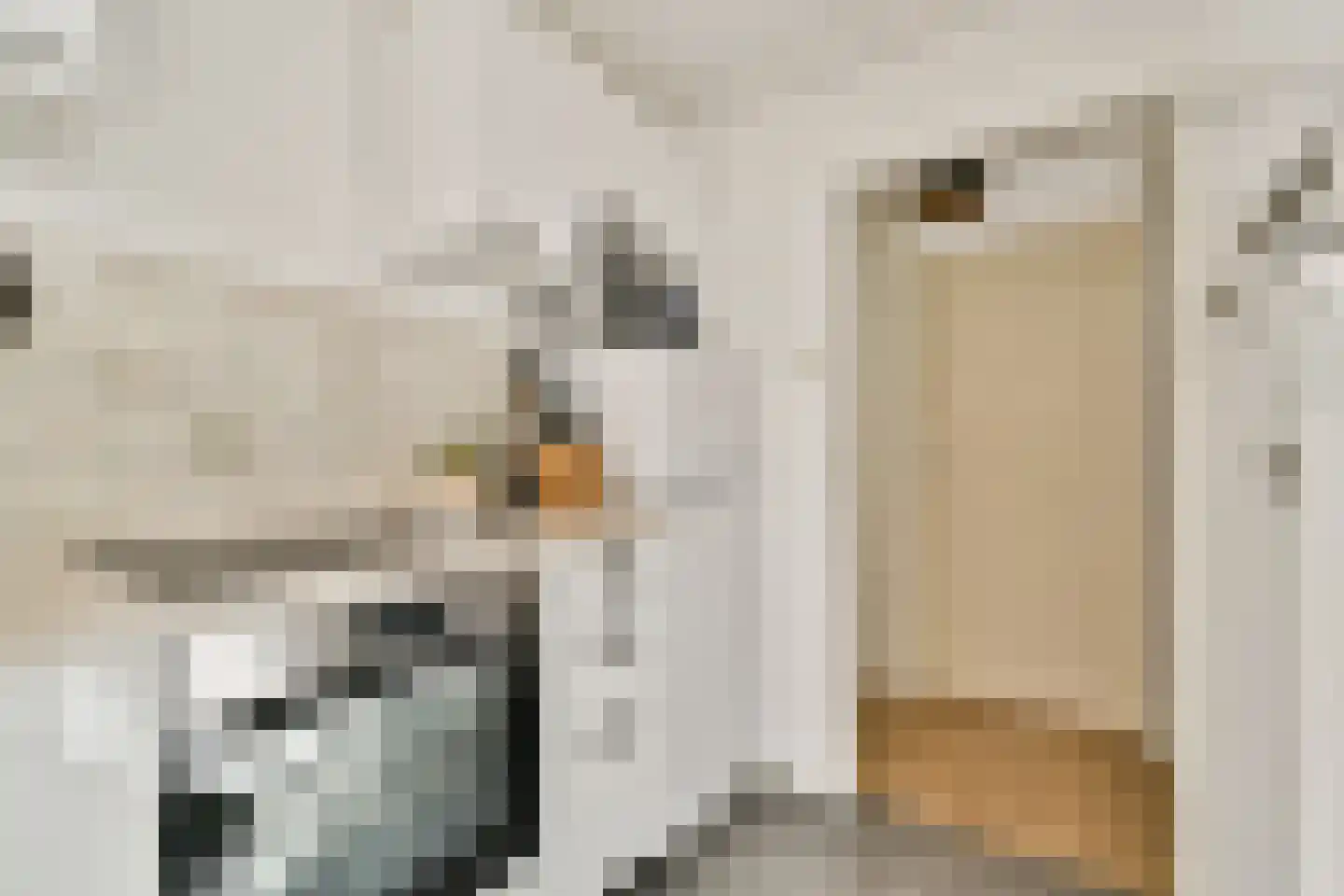 Dirk Hartoghstraat 5 Amsterdam thumbnail 4