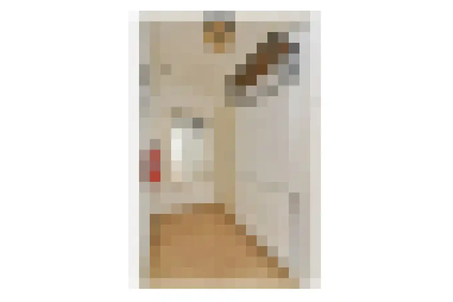 Dirk Hartoghstraat 5 Amsterdam thumbnail 6