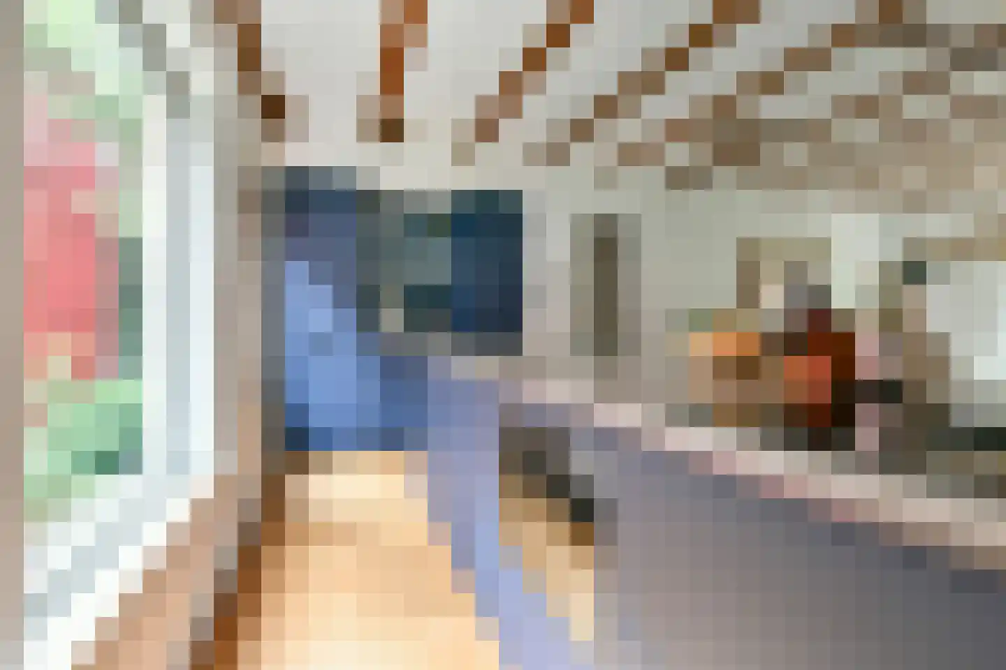 Dirk Hartoghstraat 57 Amsterdam thumbnail 11