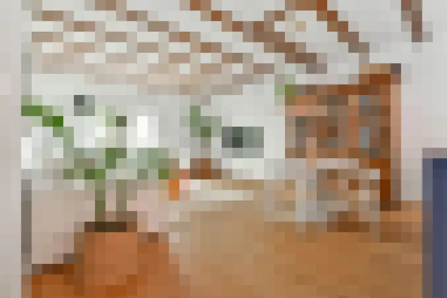 Dirk Hartoghstraat 57 Amsterdam thumbnail 4