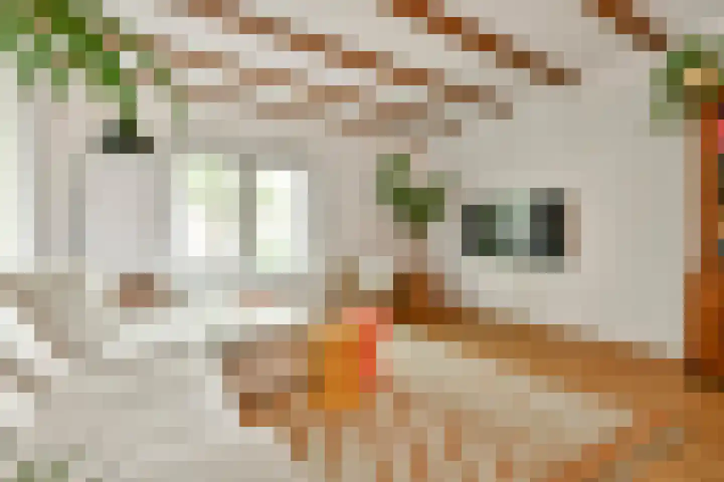 Dirk Hartoghstraat 57 Amsterdam thumbnail 5