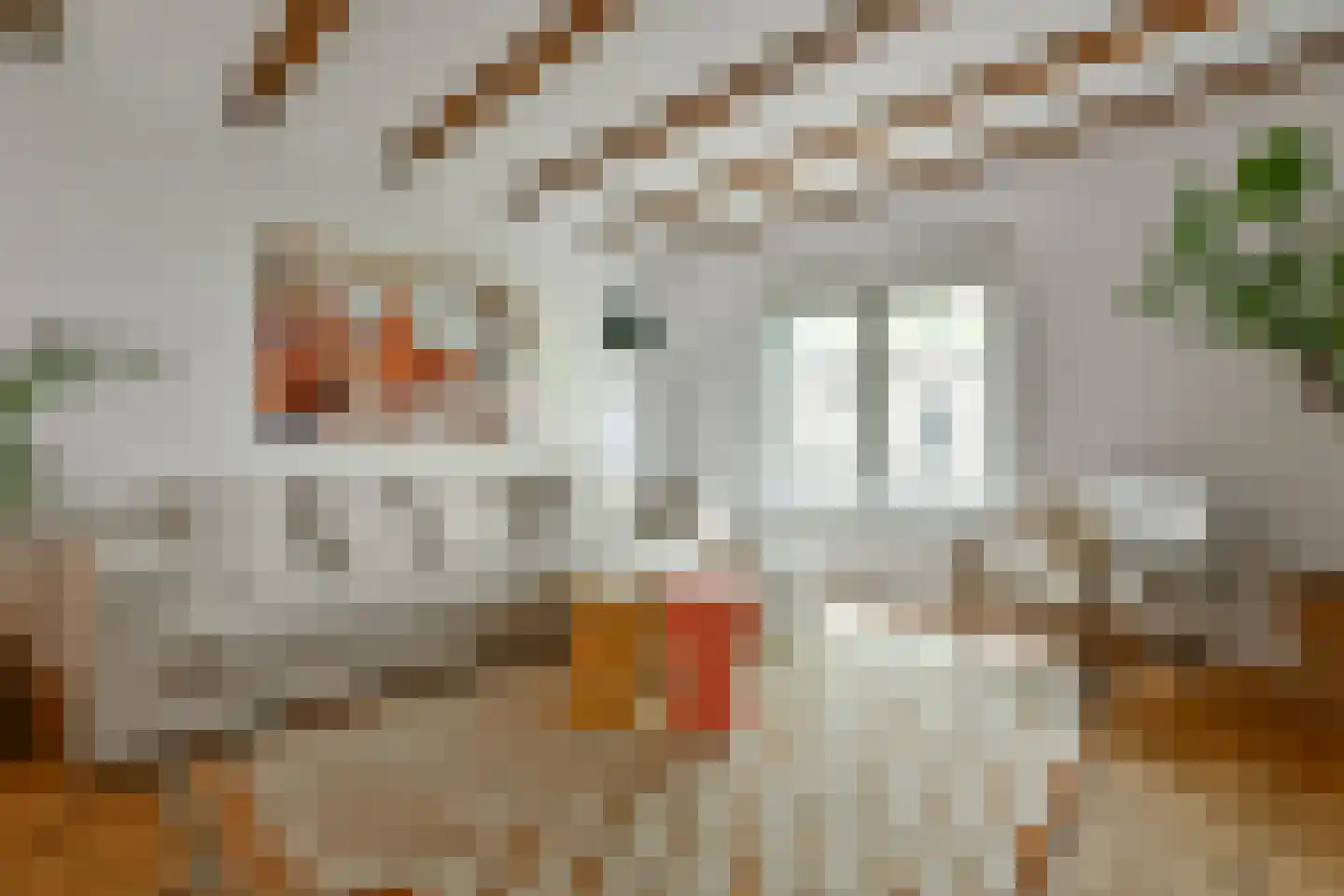 Dirk Hartoghstraat 57 Amsterdam thumbnail 6