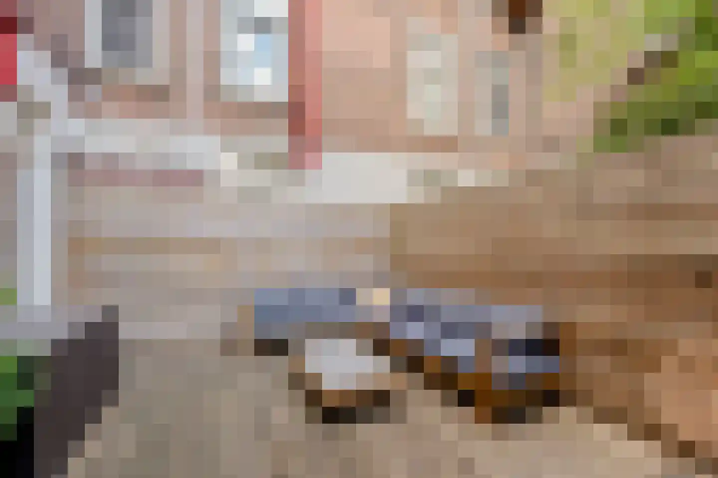 Dirk Hartoghstraat 64 Amsterdam thumbnail 12