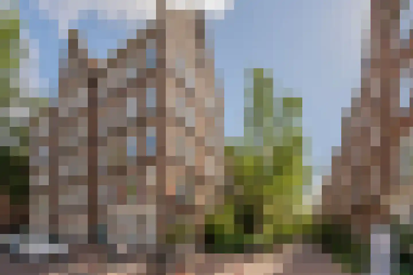 Dirk Hartoghstraat 64 Amsterdam thumbnail 21