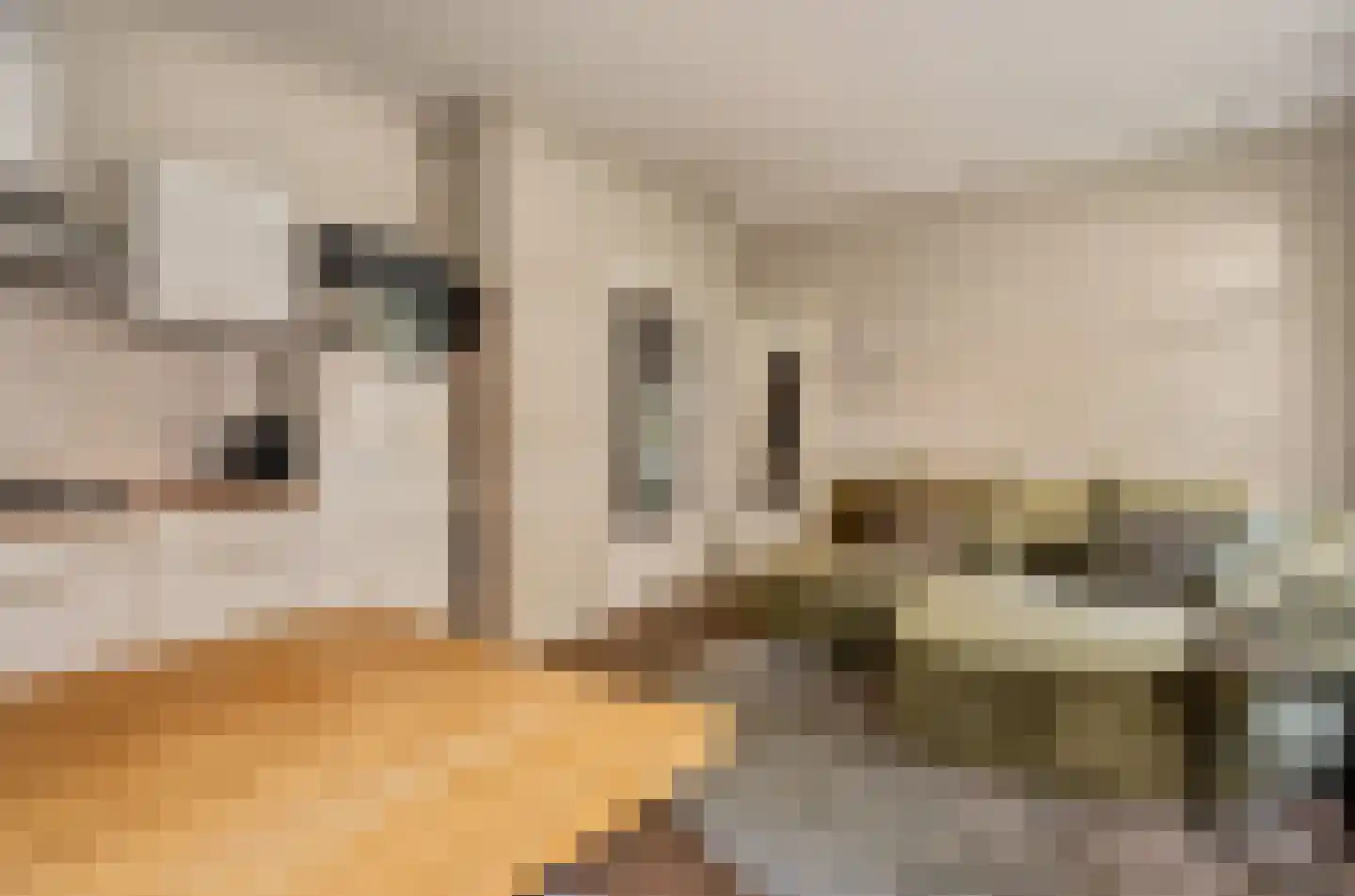 Dirk Hartoghstraat 64 Amsterdam thumbnail 5