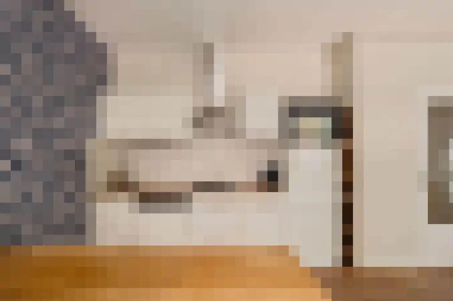 Dirk Hartoghstraat 64 Amsterdam thumbnail 9