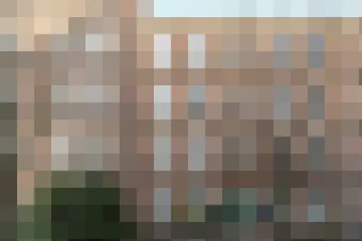 Dirk Hartoghstraat 66 Amsterdam thumbnail 21
