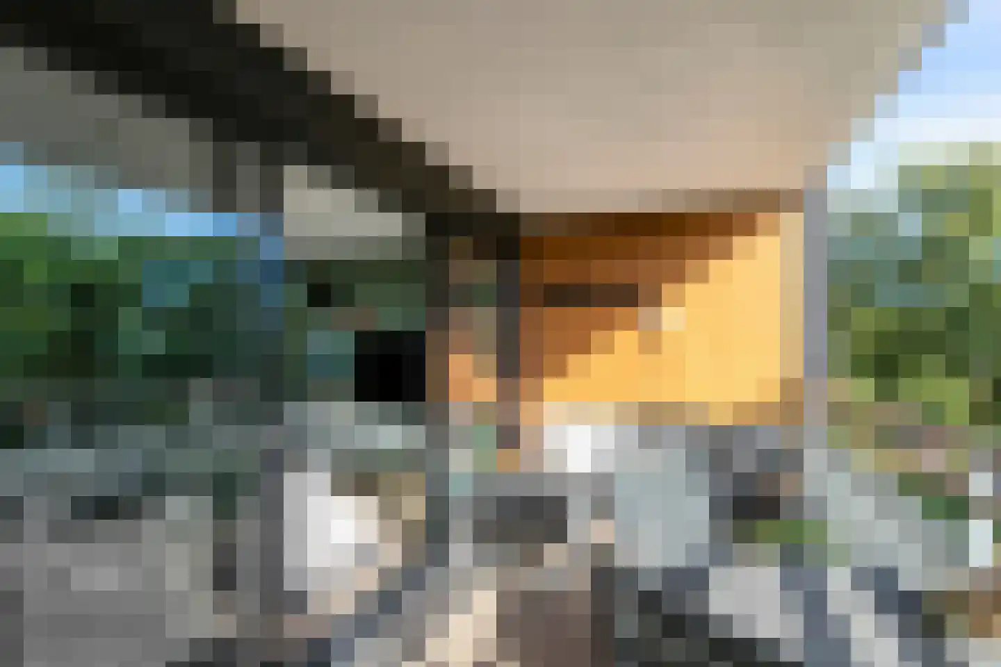 Dirk Hartogstraat 11 Breda thumbnail 14