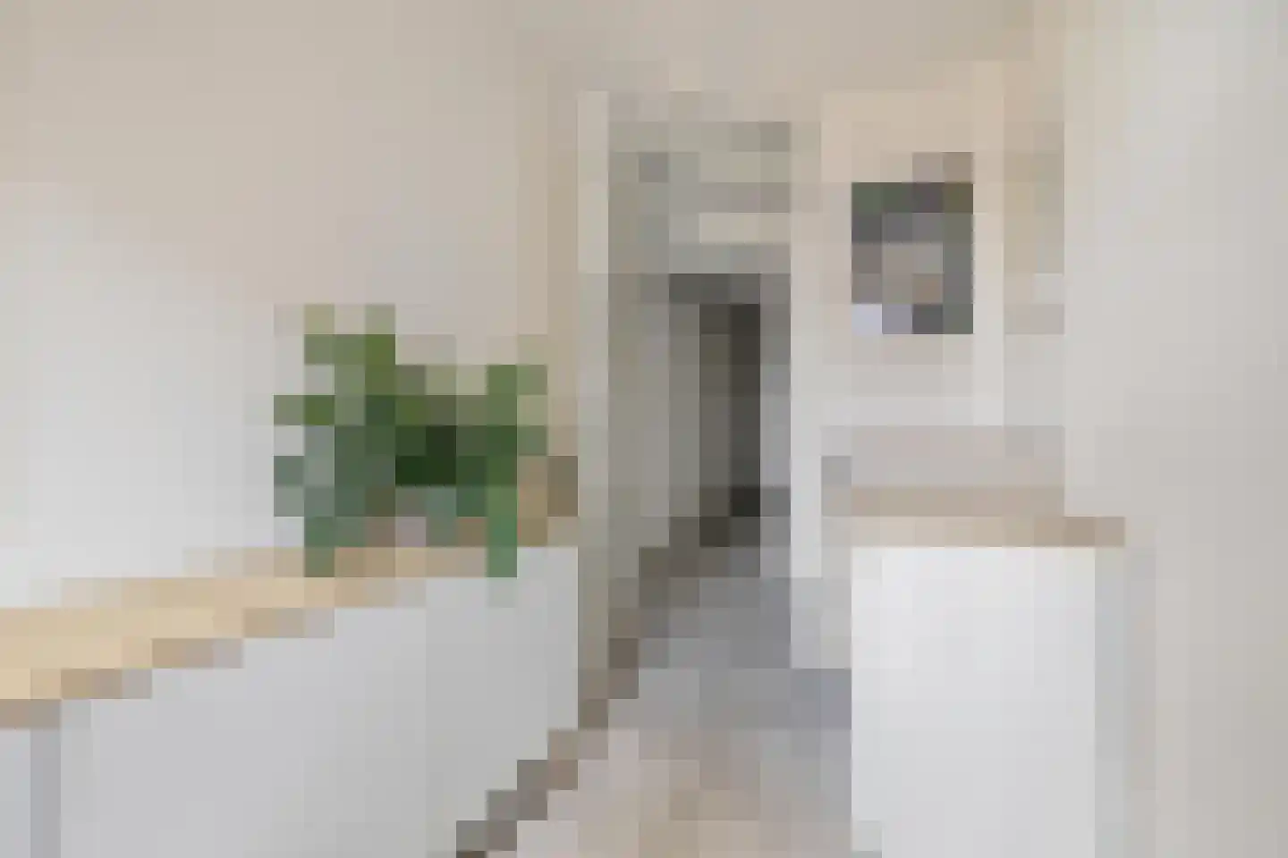 Dirk Hartogstraat 115 Breda thumbnail 39
