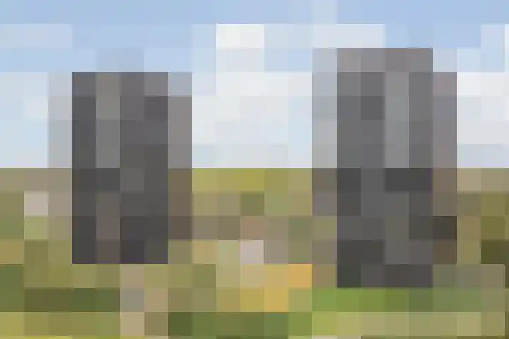 Dirk Hartogstraat 125 Breda thumbnail 8
