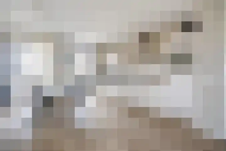 Dirk Hartogstraat 209 Breda thumbnail 34