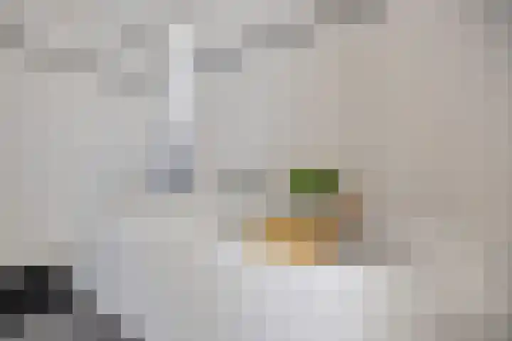 Dirk Hartogstraat 209 Breda thumbnail 43