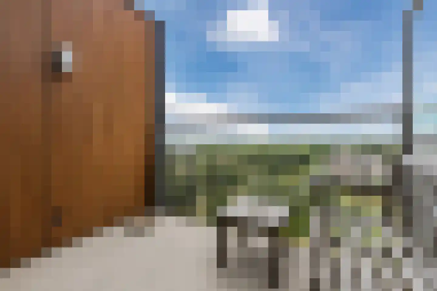 Dirk Hartogstraat 245 Breda thumbnail 36