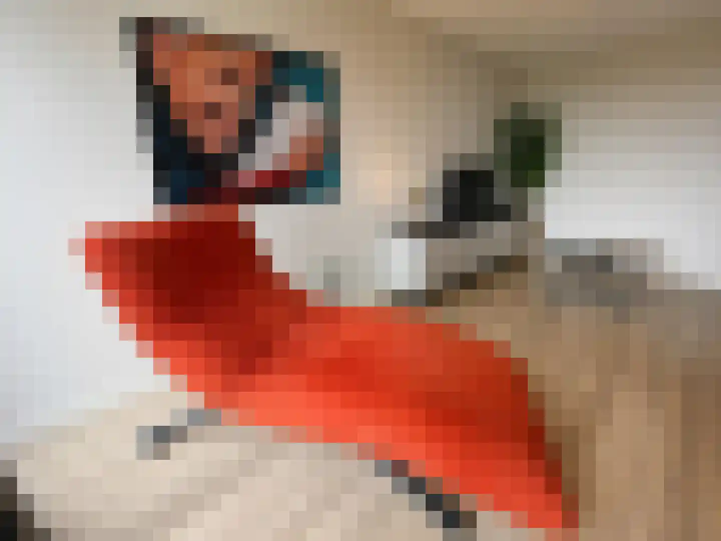 Dirk Hartogstraat 245 Breda thumbnail 8