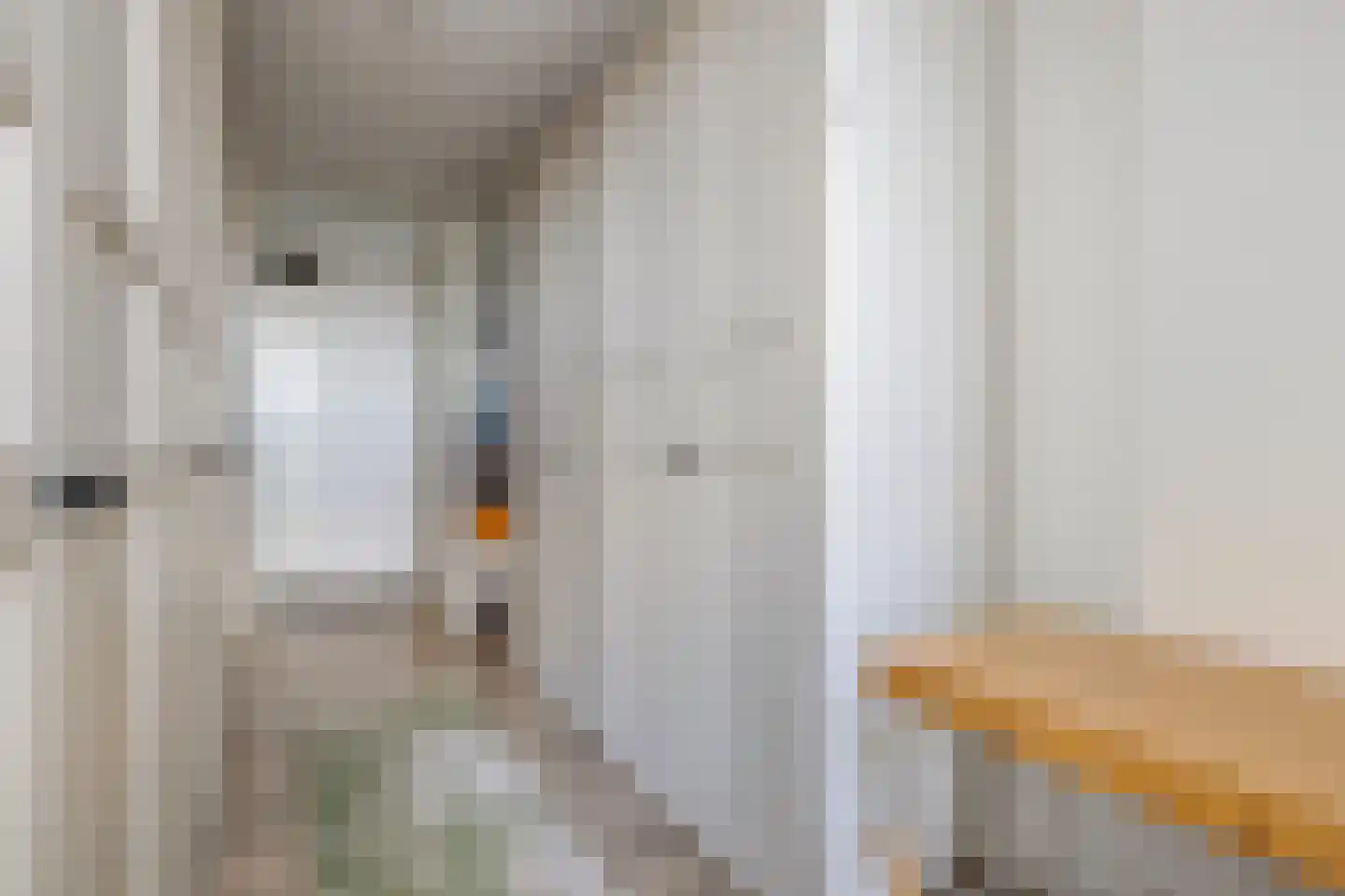 Dirk Hartogstraat 295 Breda thumbnail 33